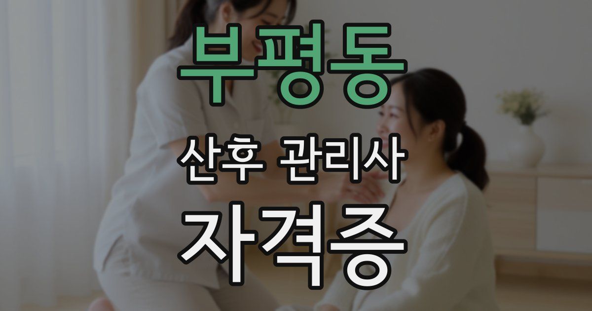 부평동 산후 관리사 자격증