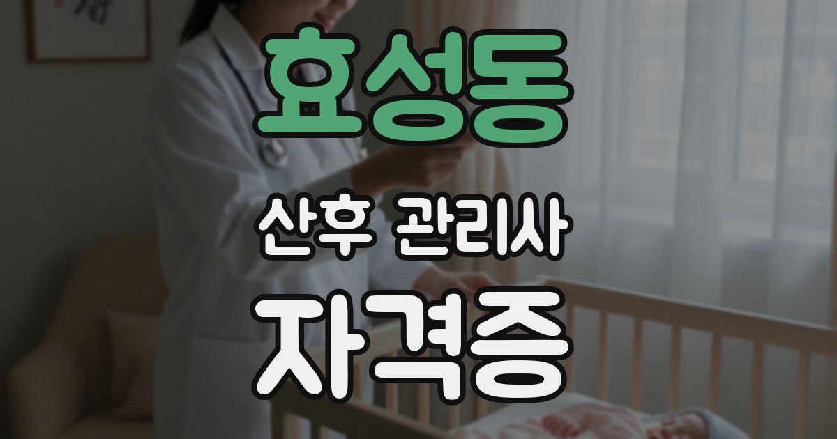효성동 산후 관리사 자격증
