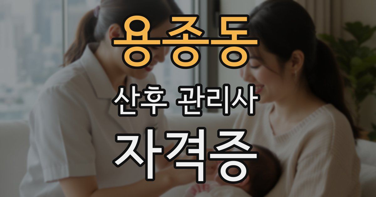 용종동 산후 관리사 자격증