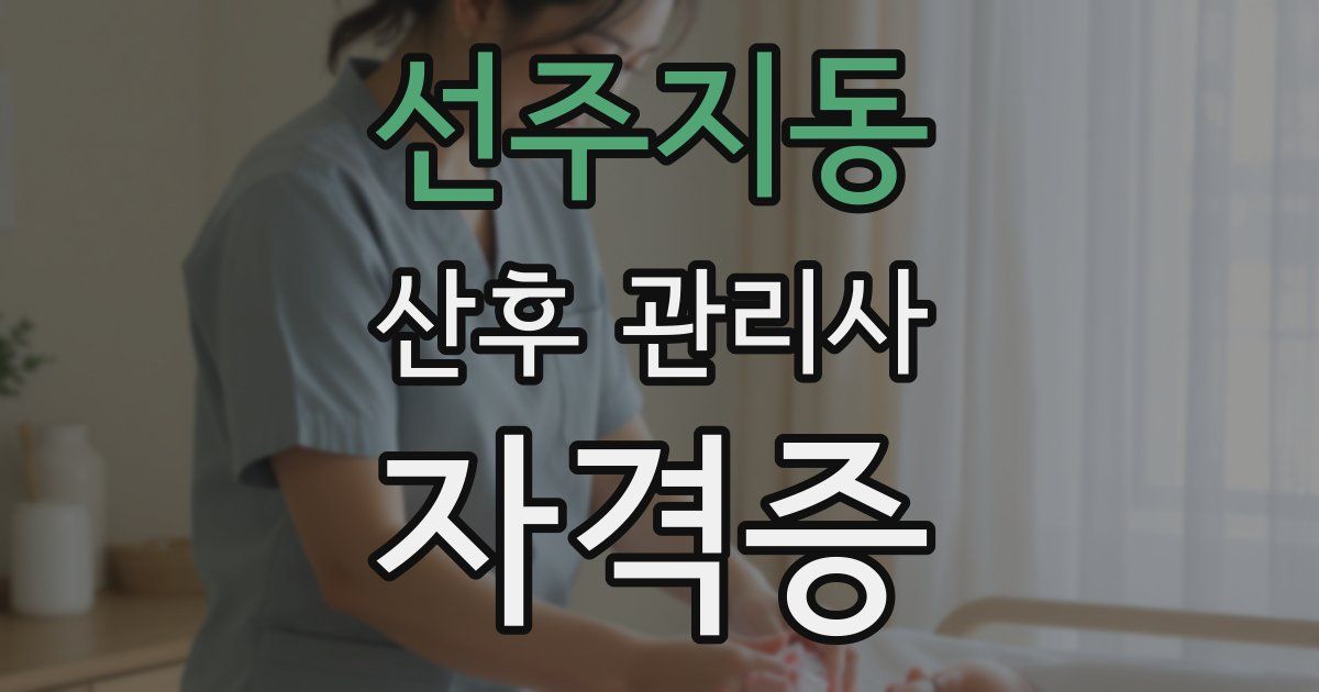 선주지동 산후 관리사 자격증