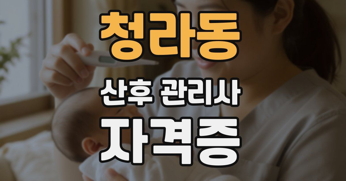 청라동 산후 관리사 자격증