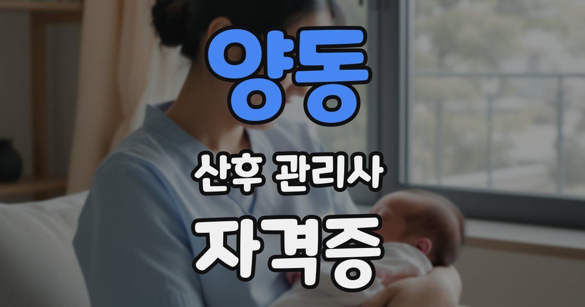 양동 산후 관리사 자격증