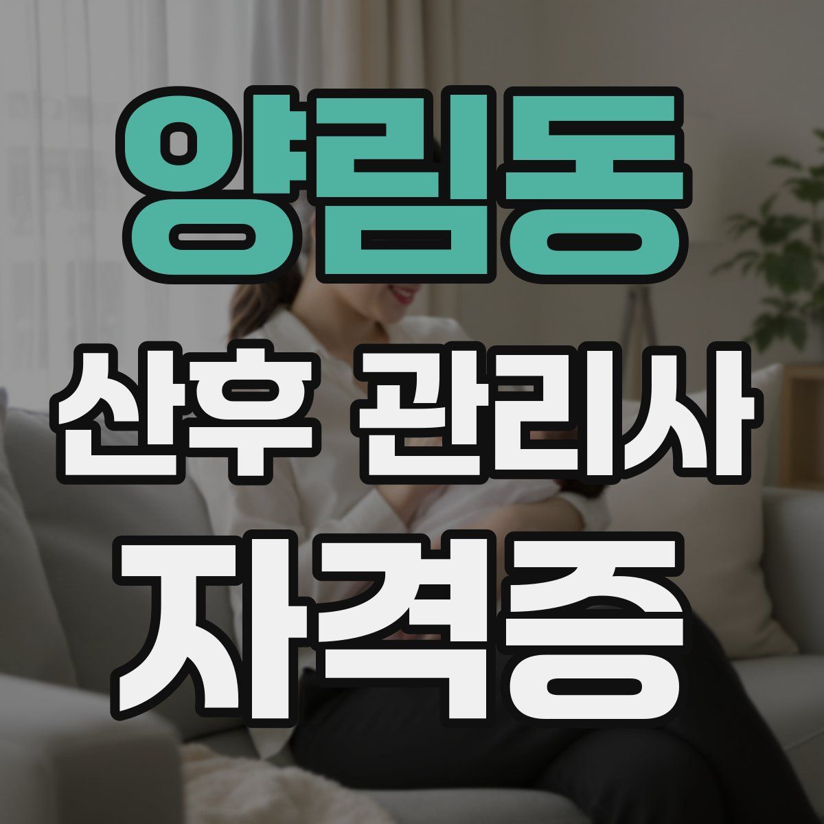 양림동 산후 관리사 자격증