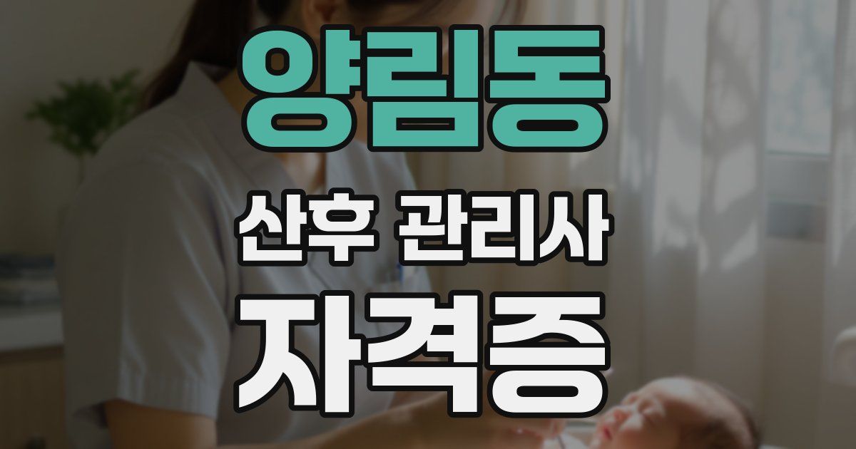 양림동 산후 관리사 자격증
