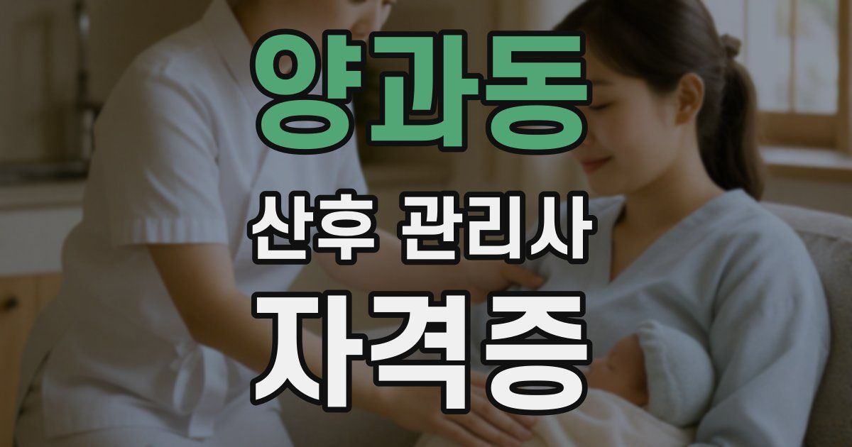 양과동 산후 관리사 자격증