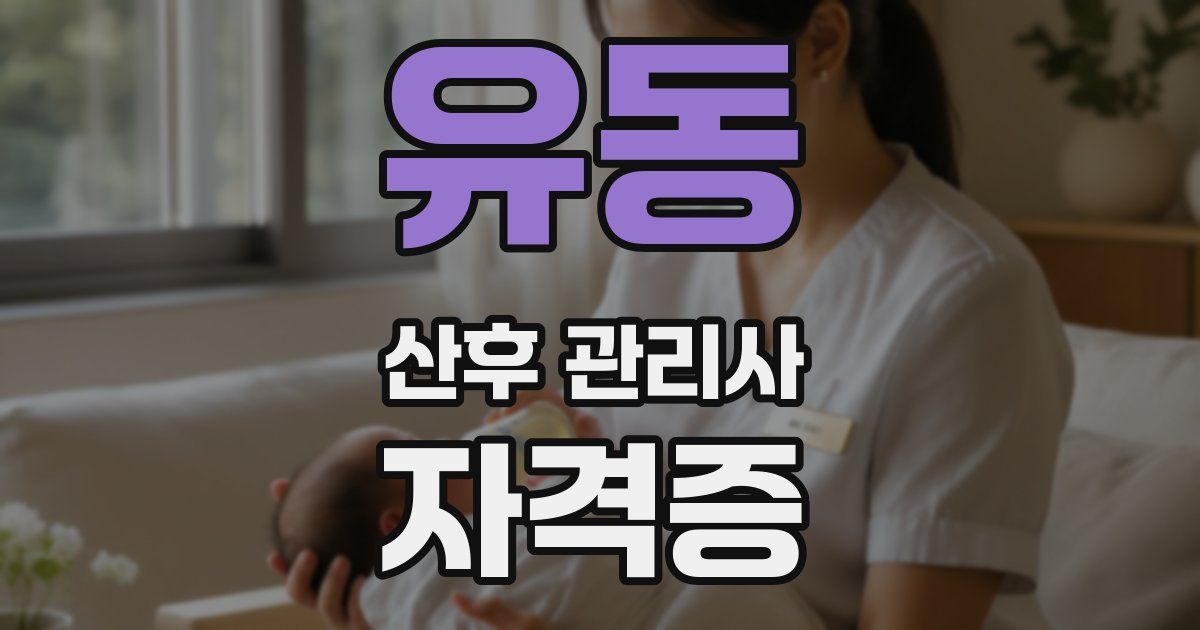 유동 산후 관리사 자격증