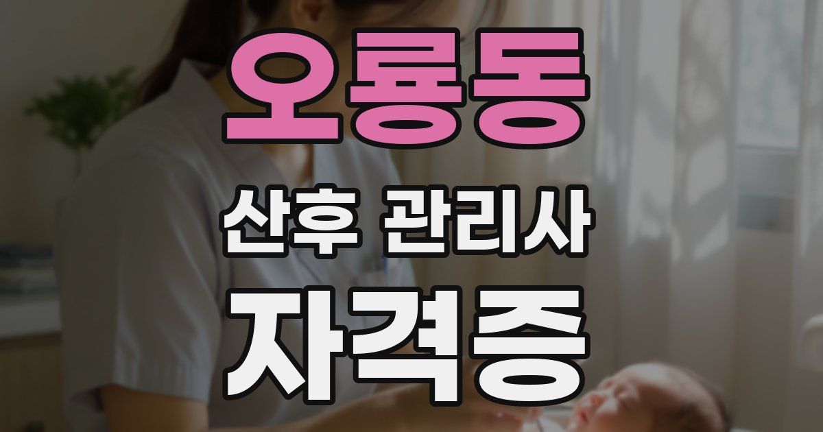 오룡동 산후 관리사 자격증