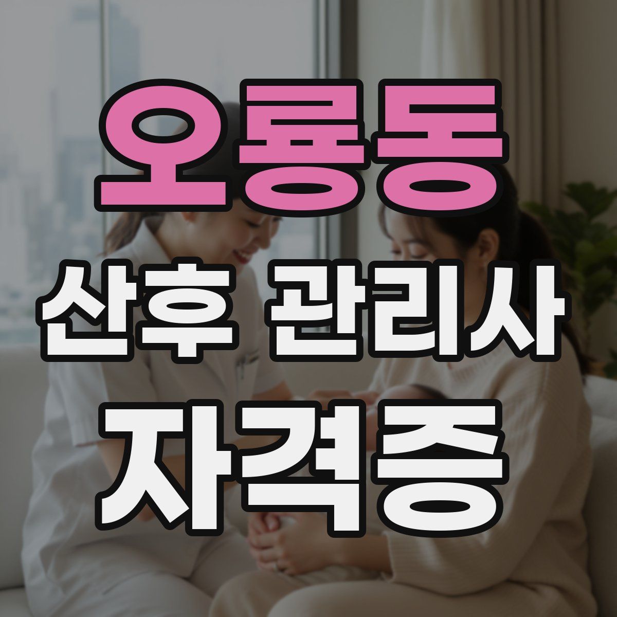 오룡동 산후 관리사 자격증