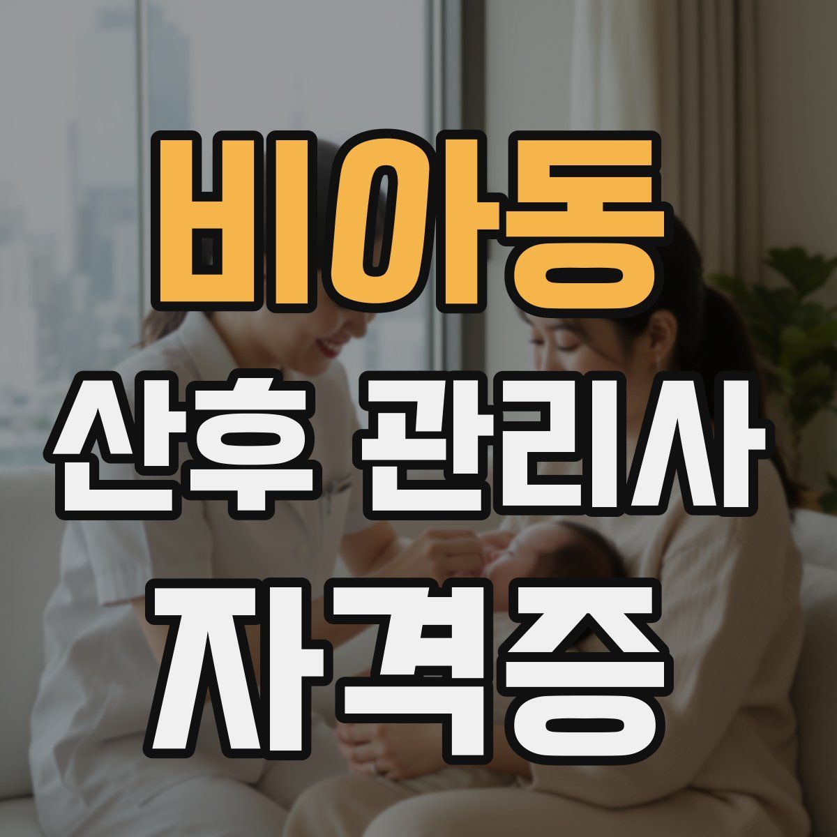 비아동 산후 관리사 자격증