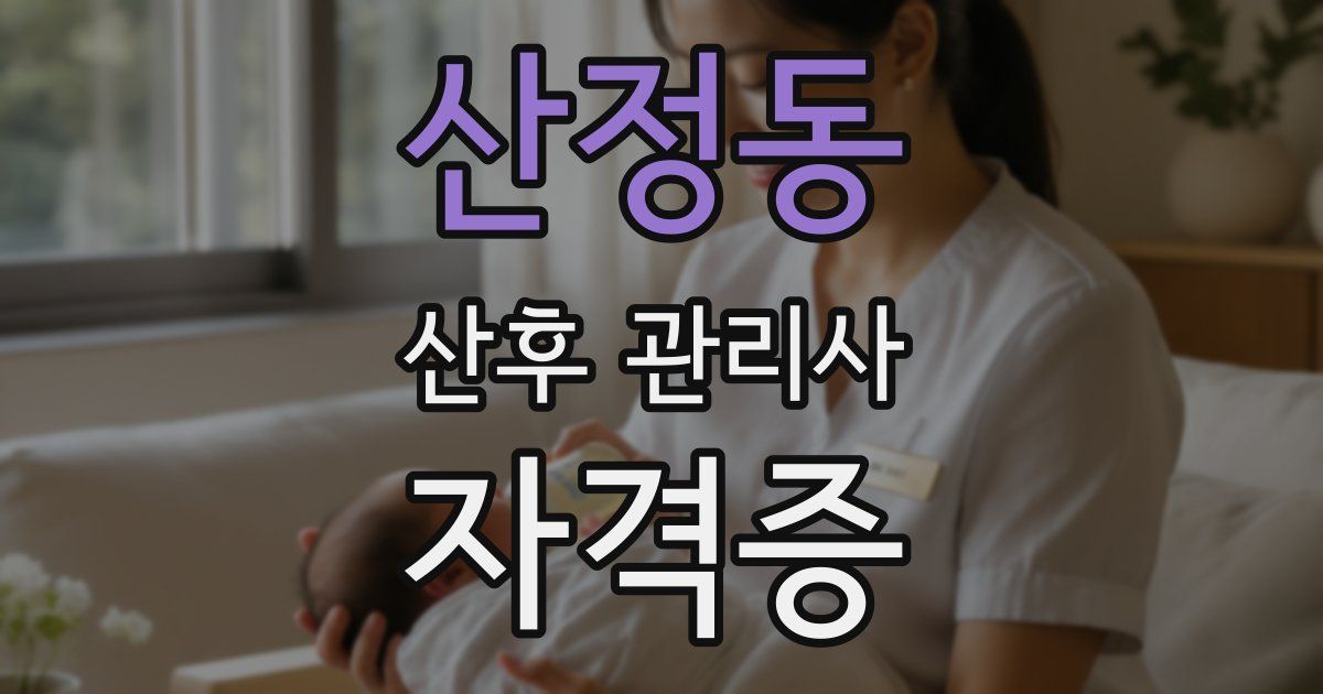 산정동 산후 관리사 자격증