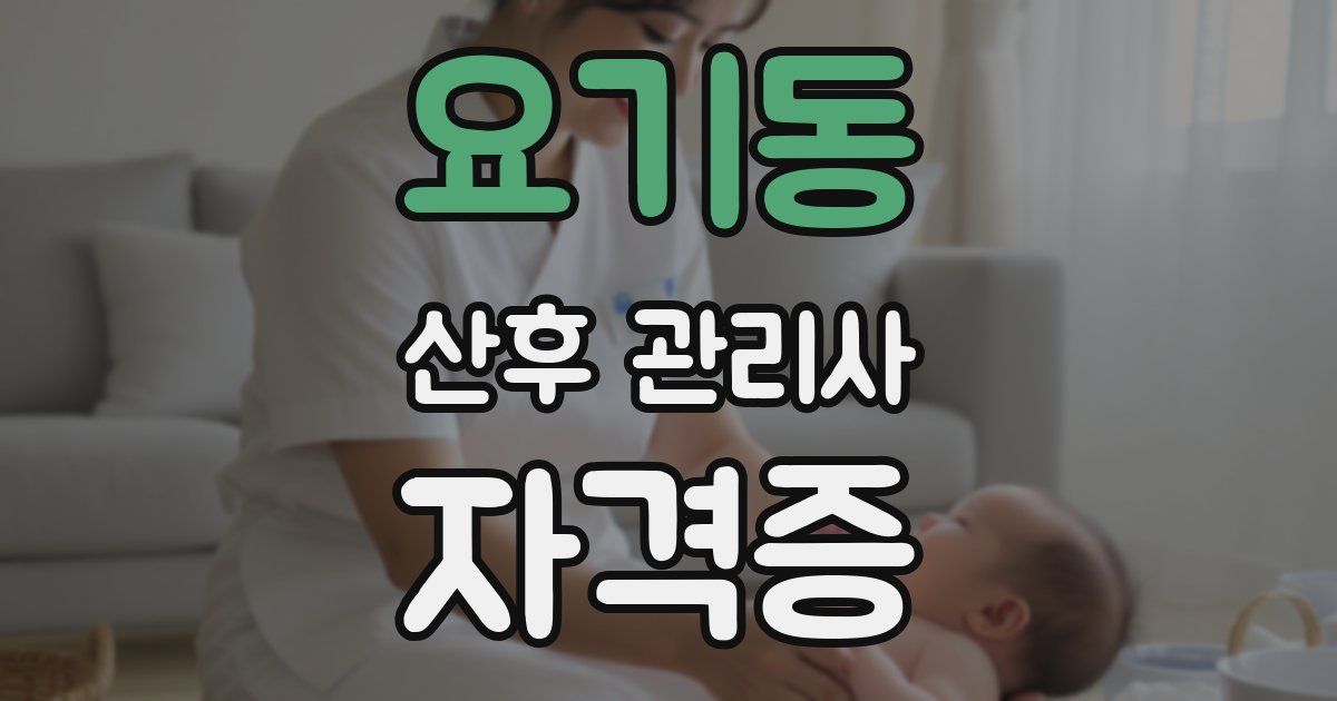 요기동 산후 관리사 자격증