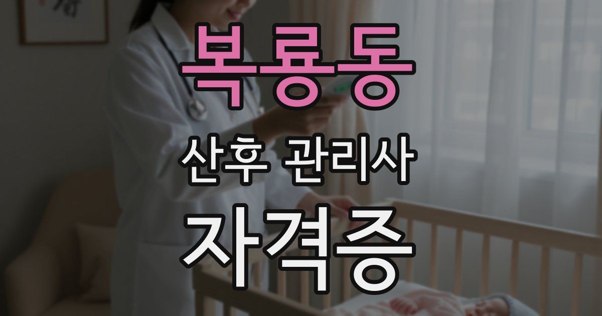 복룡동 산후 관리사 자격증