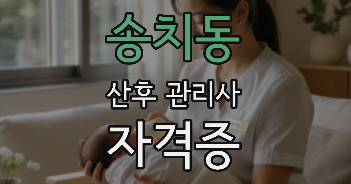 송치동 산후 관리사 자격증