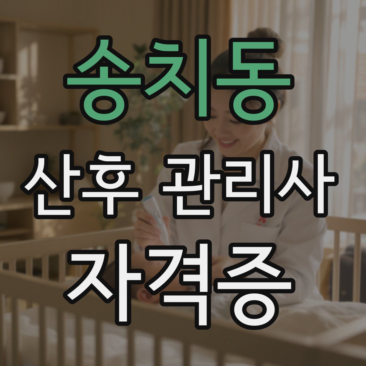 송치동 산후 관리사 자격증