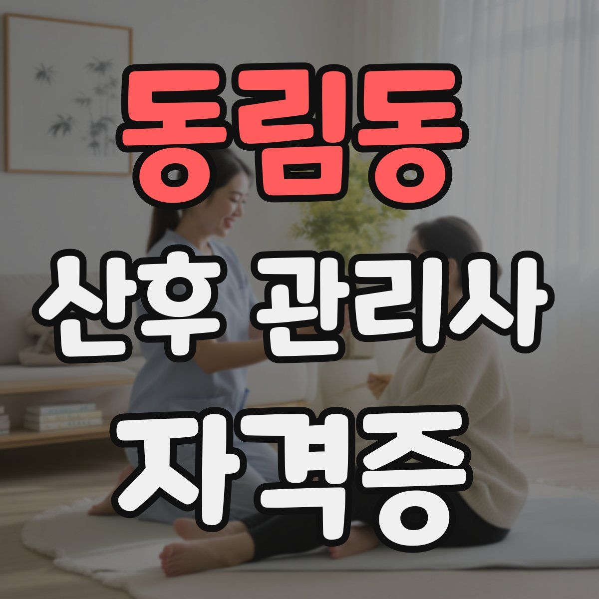 동림동 산후 관리사 자격증