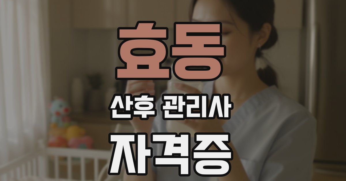 효동 산후 관리사 자격증
