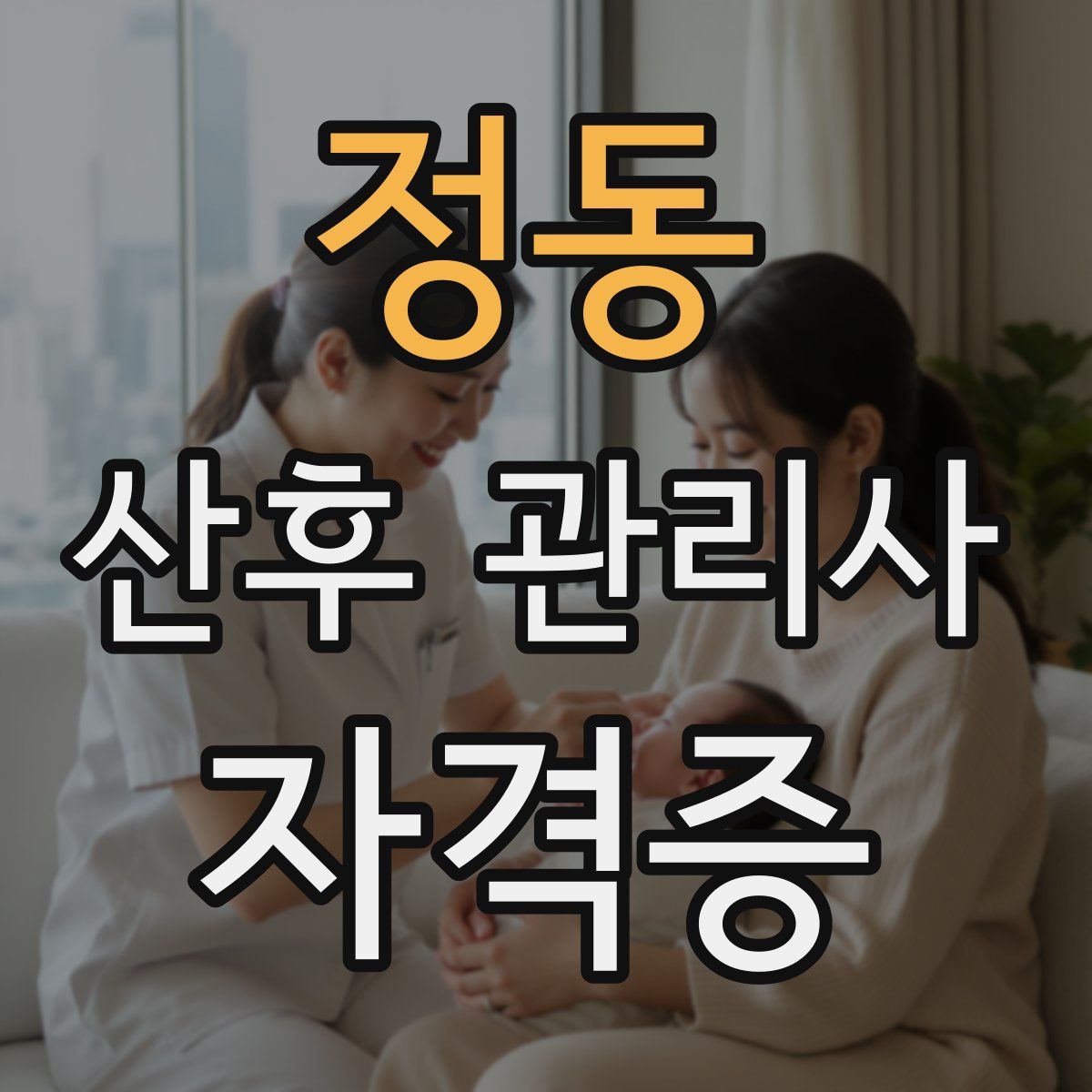 정동 산후 관리사 자격증