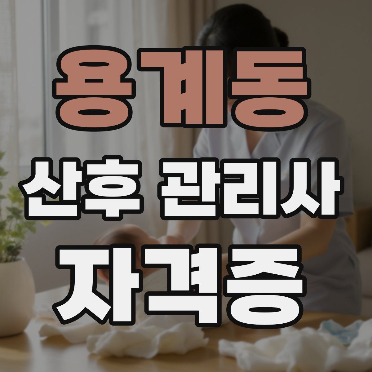 용계동 산후 관리사 자격증