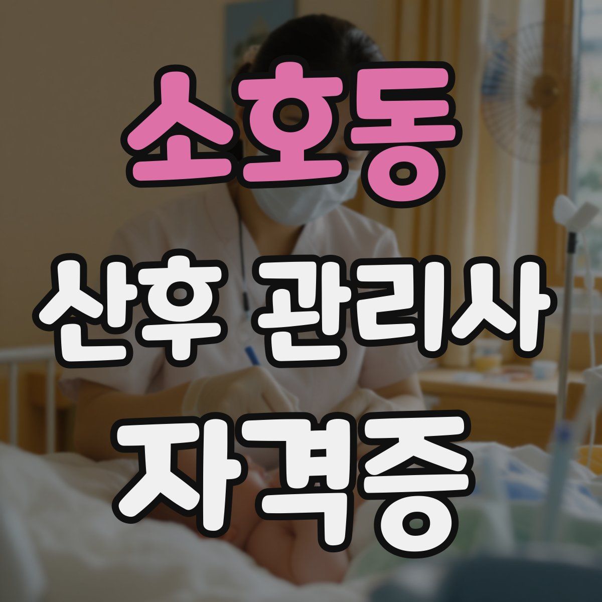 소호동 산후 관리사 자격증