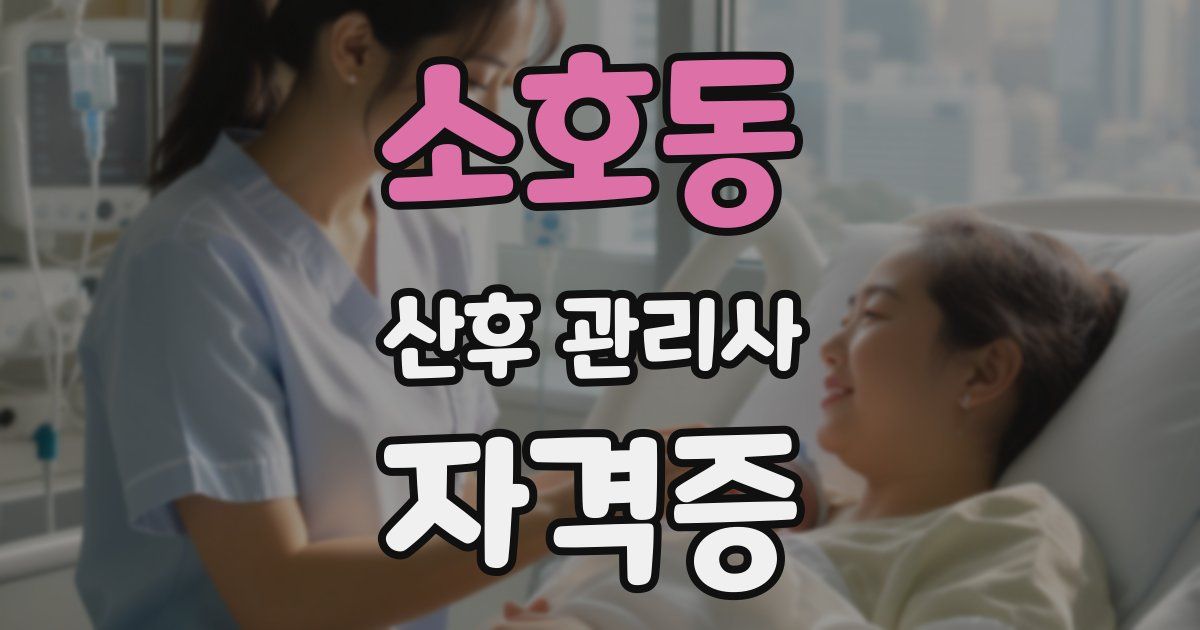 소호동 산후 관리사 자격증