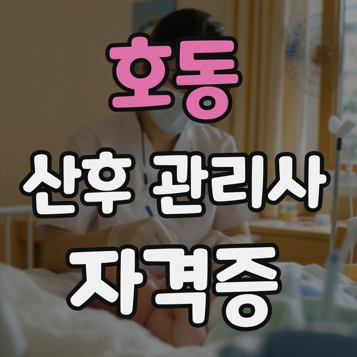호동 산후 관리사 자격증
