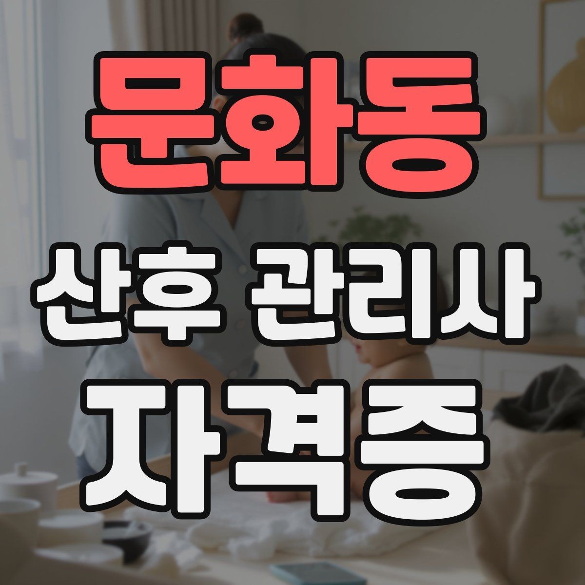 문화동 산후 관리사 자격증 청소 정리 지원은 어디까지 가능한가