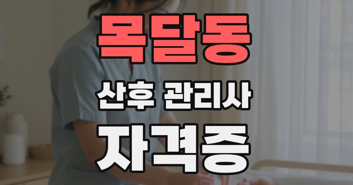 목달동 산후 관리사 자격증
