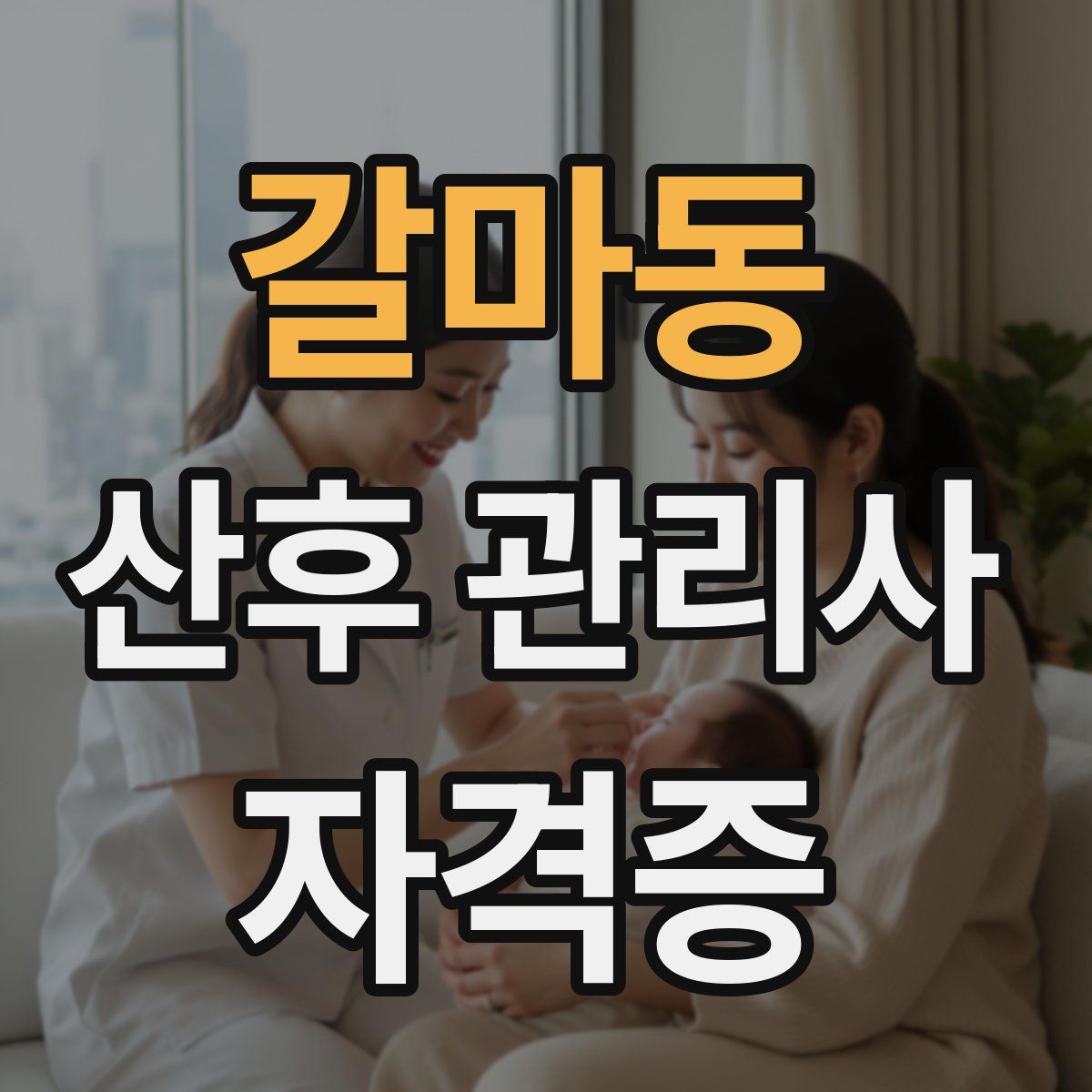갈마동 산후 관리사 자격증