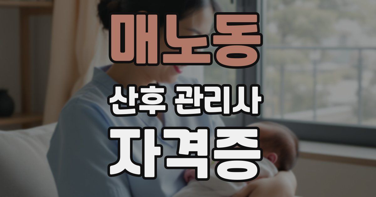 매노동 산후 관리사 자격증