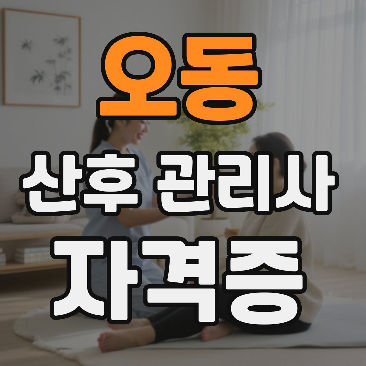 오동 산후 관리사 자격증