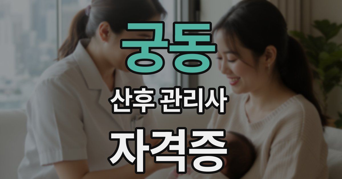 궁동 산후 관리사 자격증