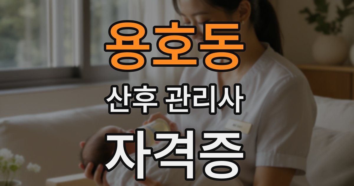 용호동 산후 관리사 자격증