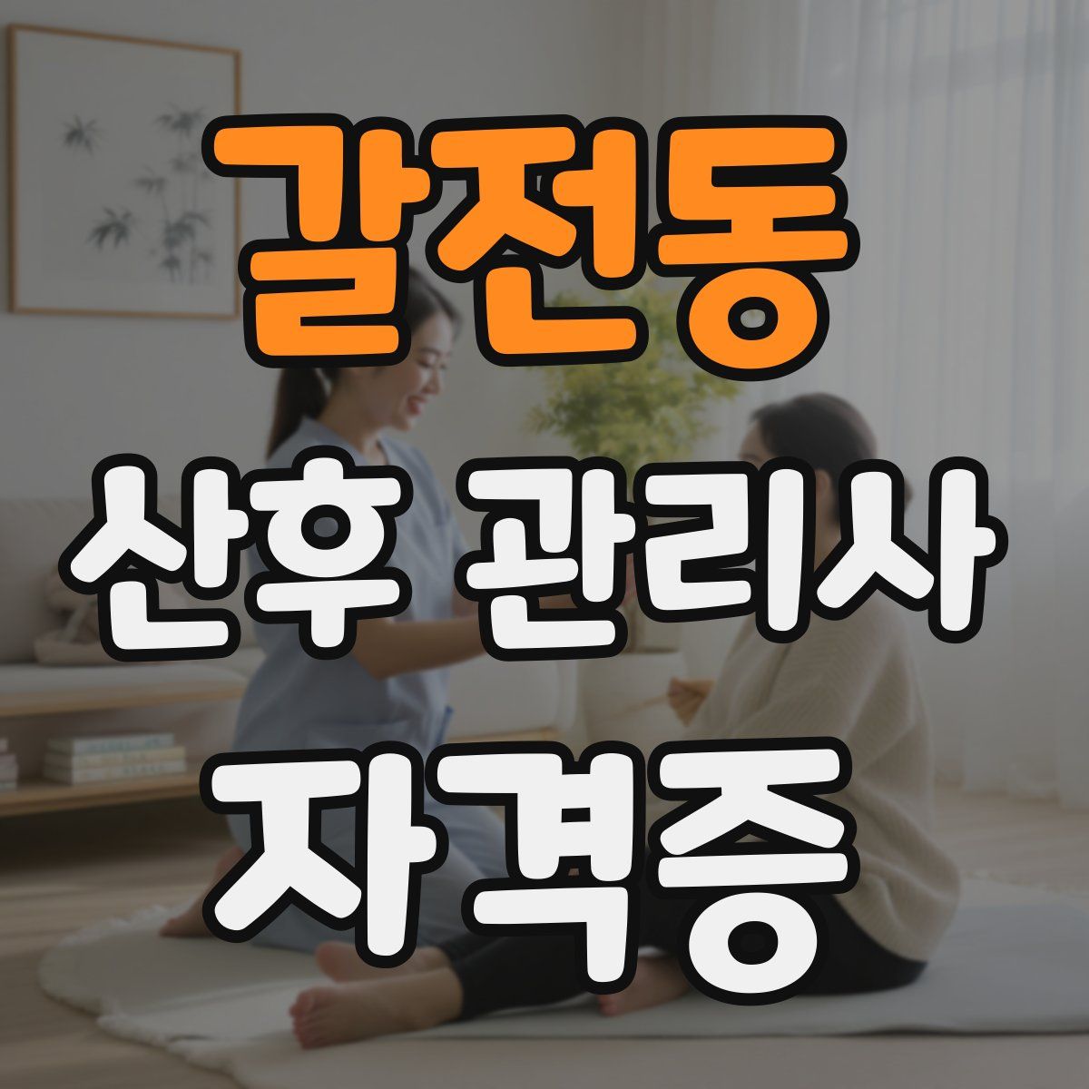 갈전동 산후 관리사 자격증