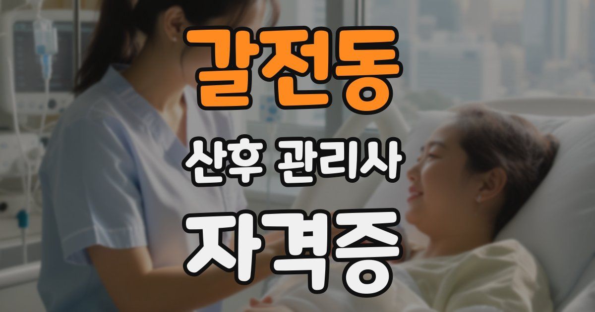 갈전동 산후 관리사 자격증