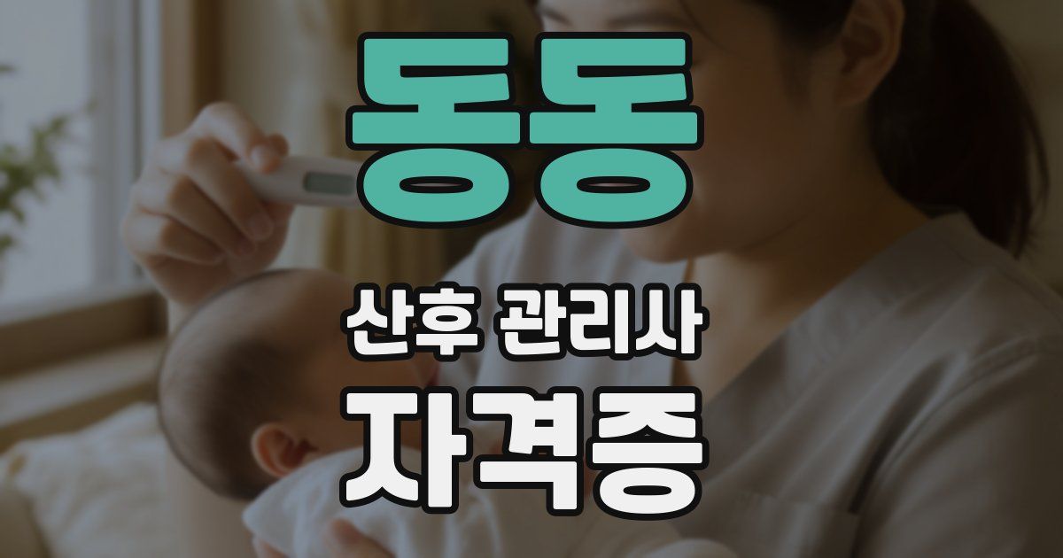 동동 산후 관리사 자격증