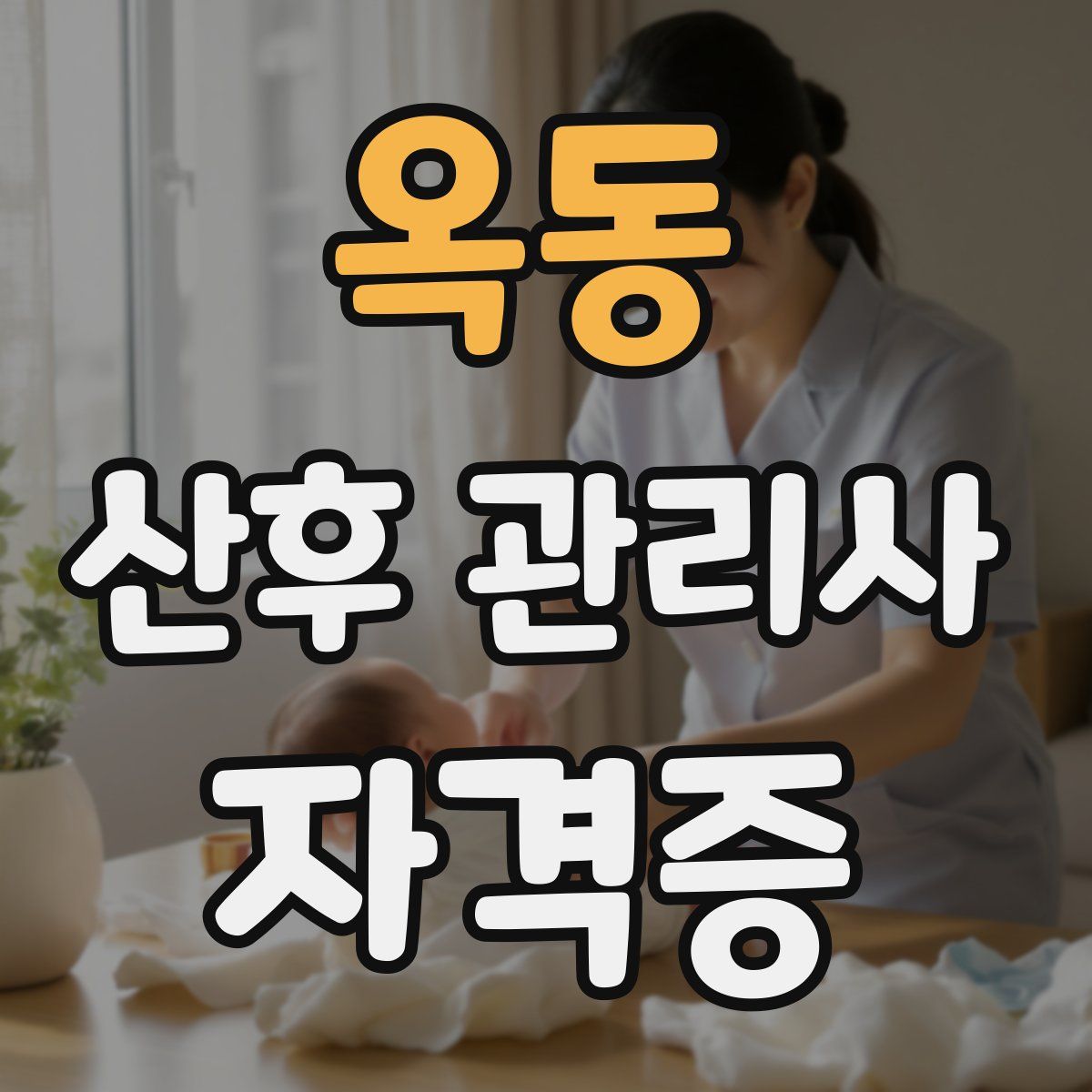 옥동 산후 관리사 자격증