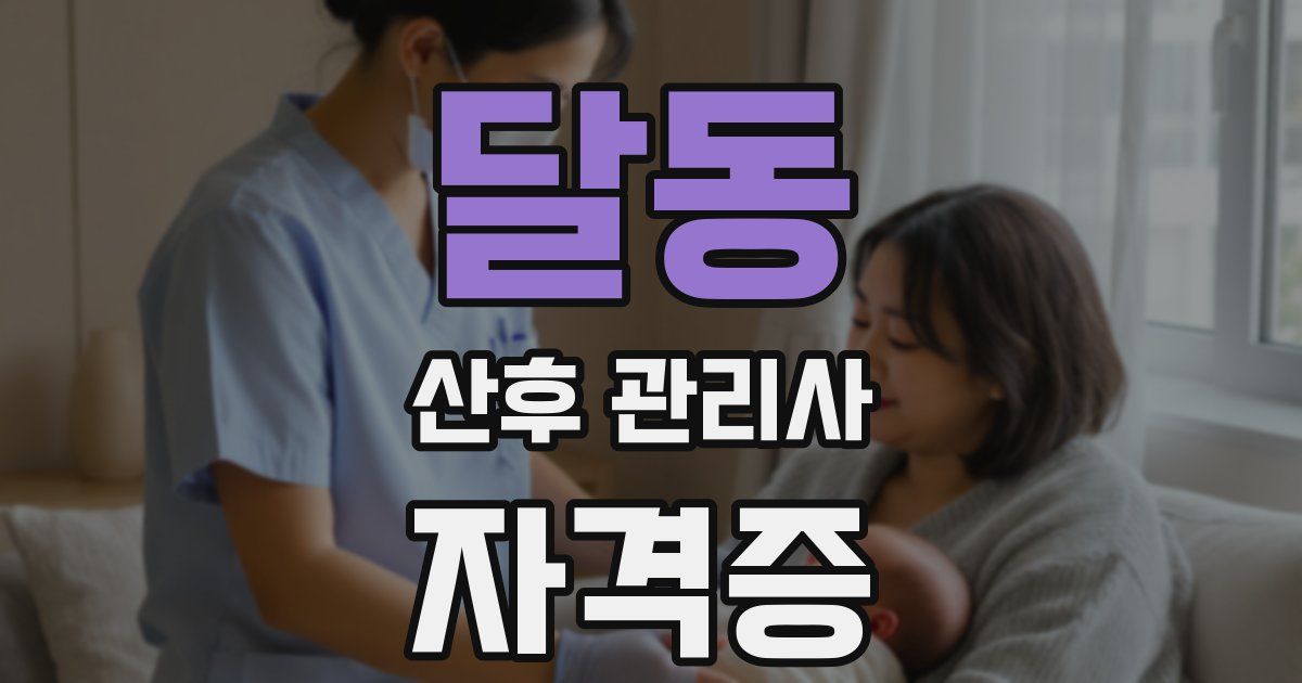 달동 산후 관리사 자격증