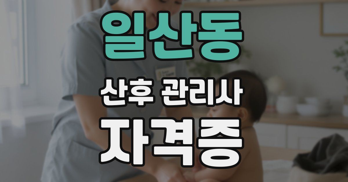 일산동 산후 관리사 자격증