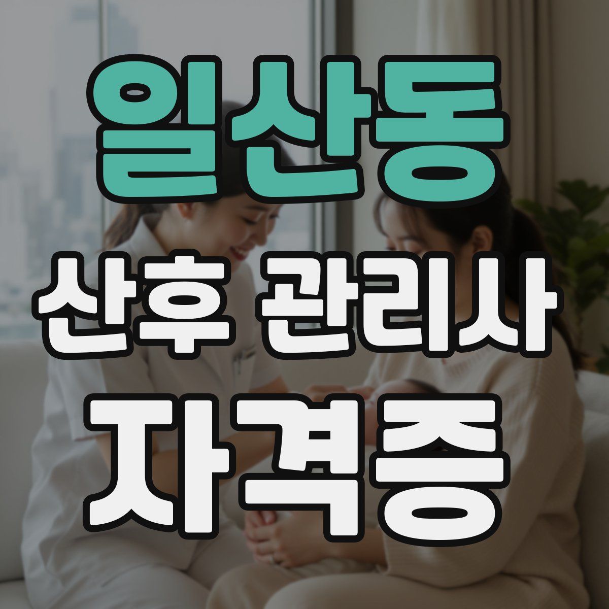 일산동 산후 관리사 자격증