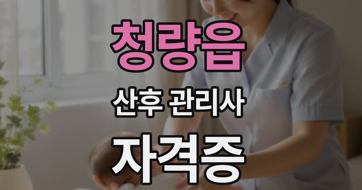 청량읍 산후 관리사 자격증