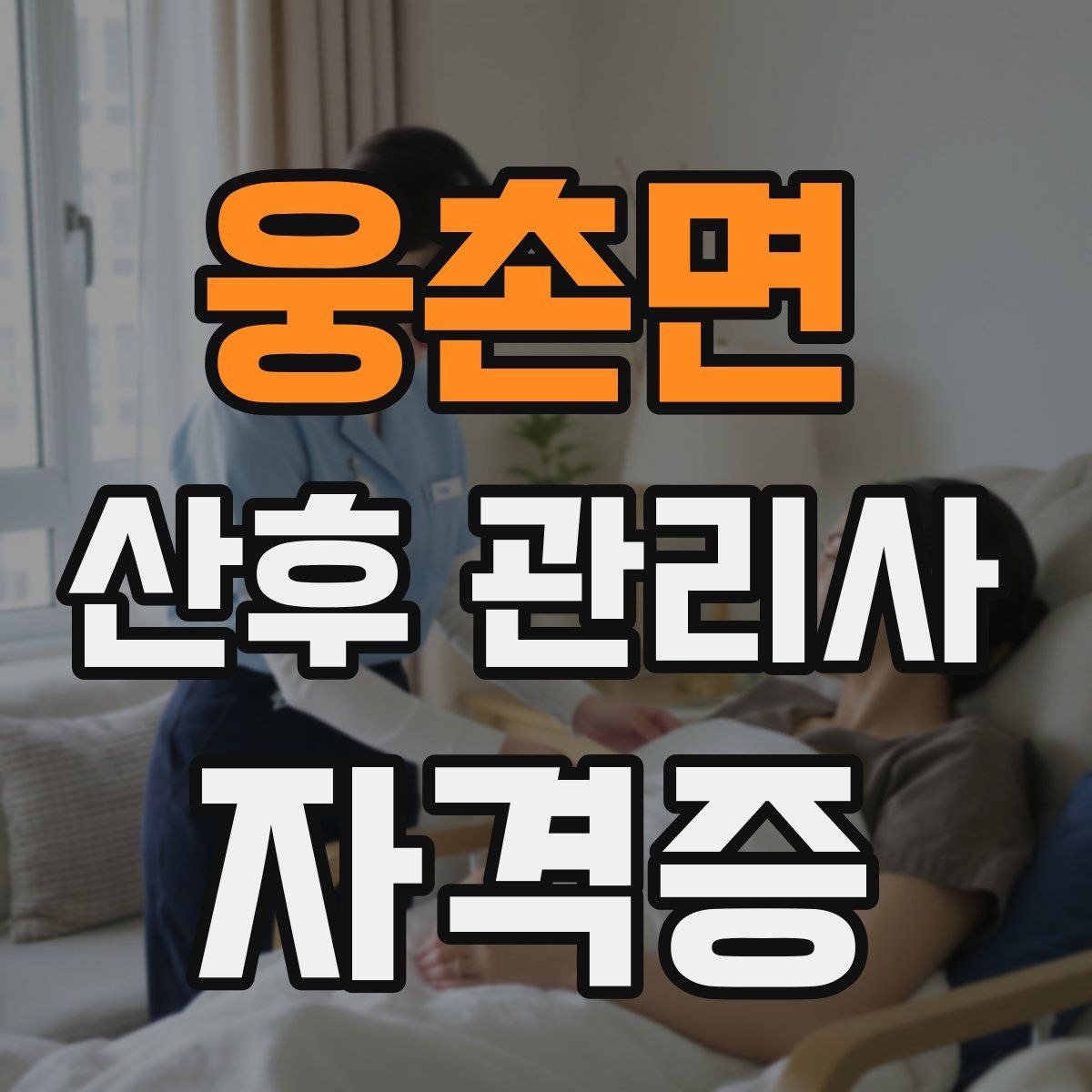 웅촌면 산후 관리사 자격증