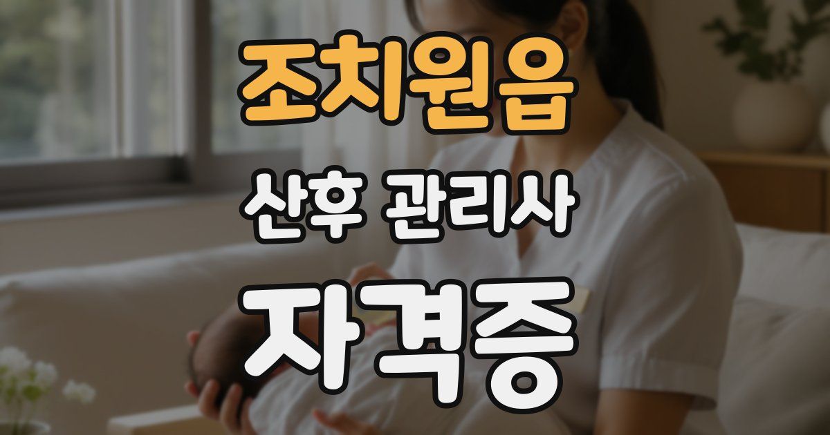 조치원읍 산후 관리사 자격증