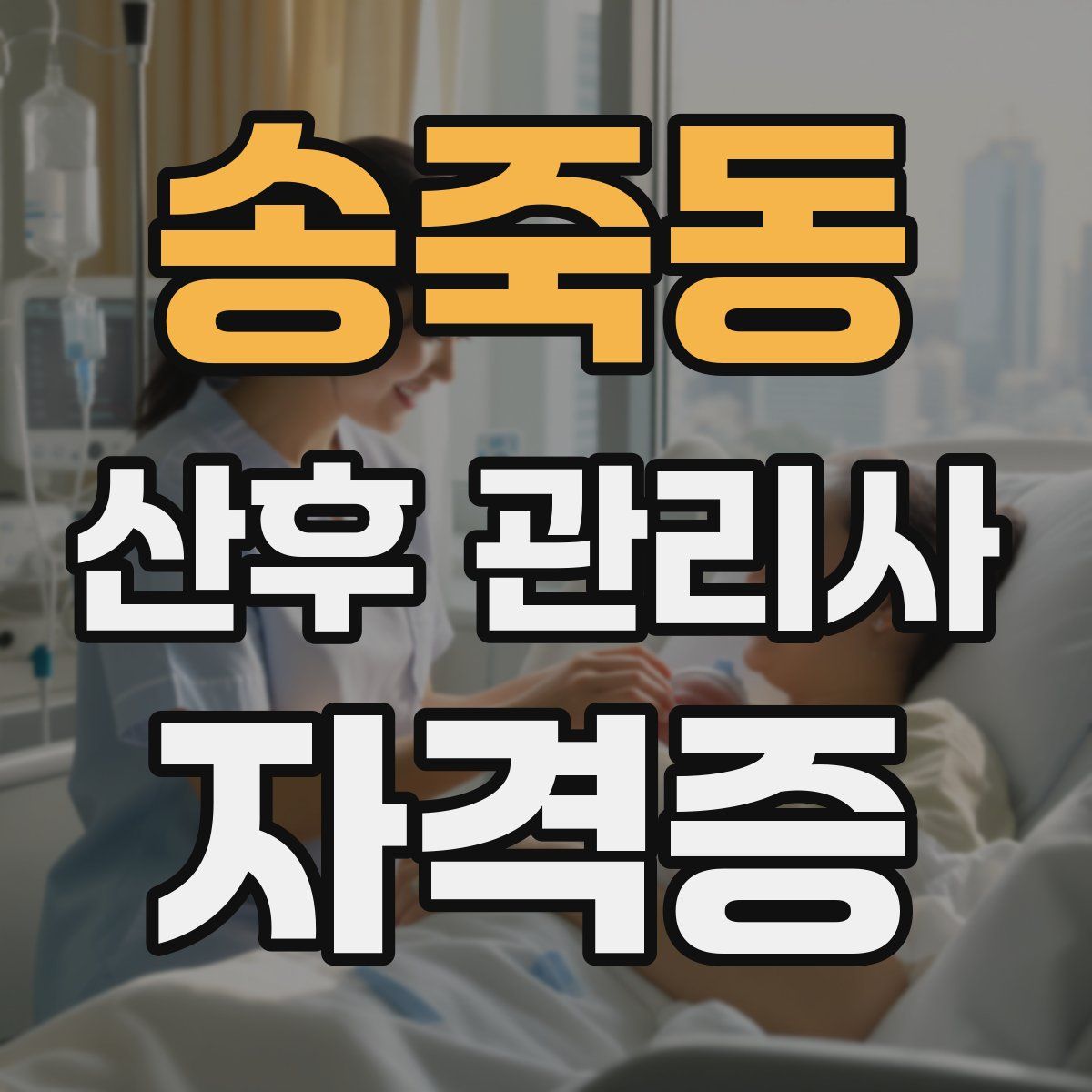 송죽동 산후 관리사 자격증