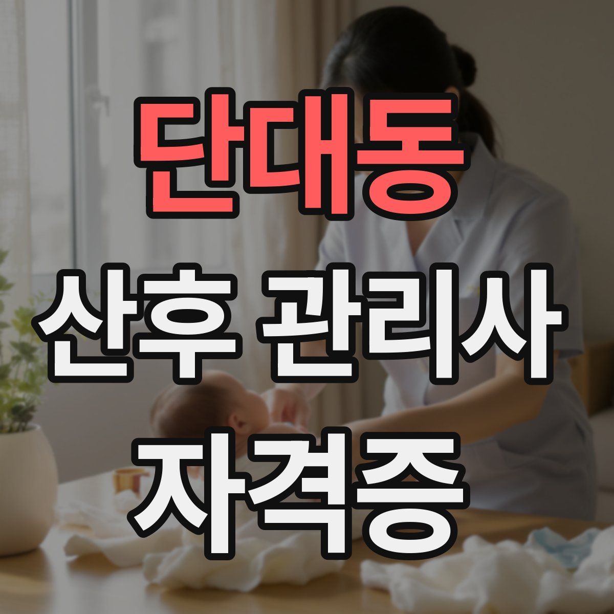 단대동 산후 관리사 자격증