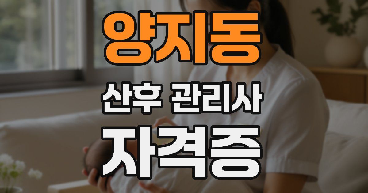 양지동 산후 관리사 자격증