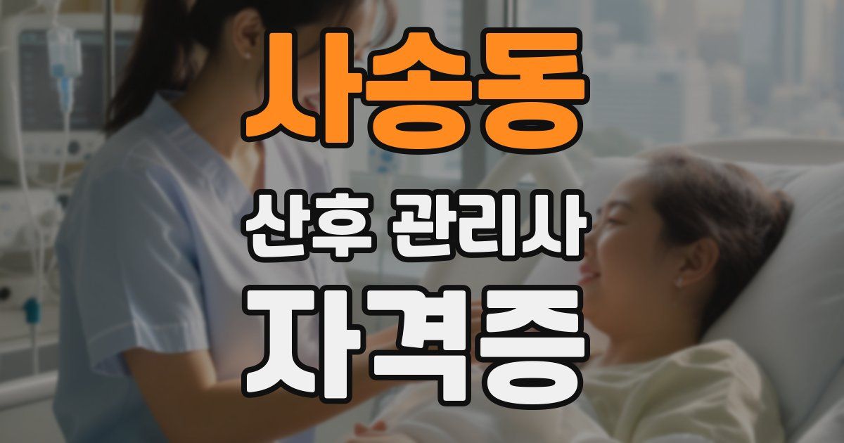 사송동 산후 관리사 자격증