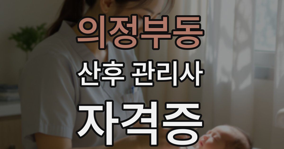 의정부동 산후 관리사 자격증