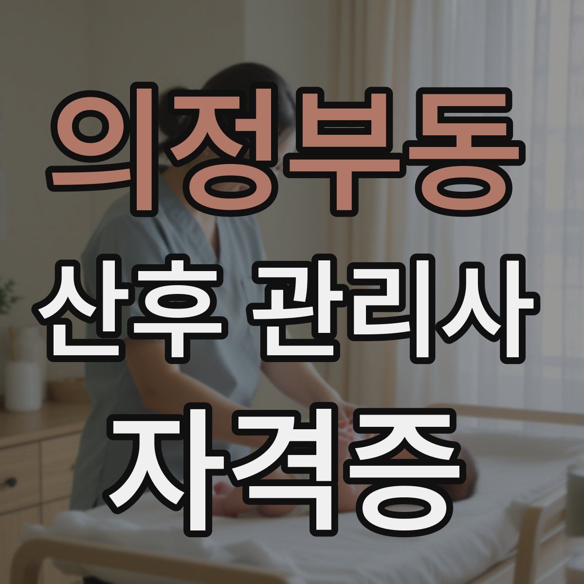 의정부동 산후 관리사 자격증