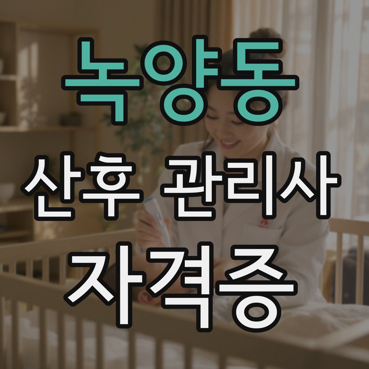 녹양동 산후 관리사 자격증