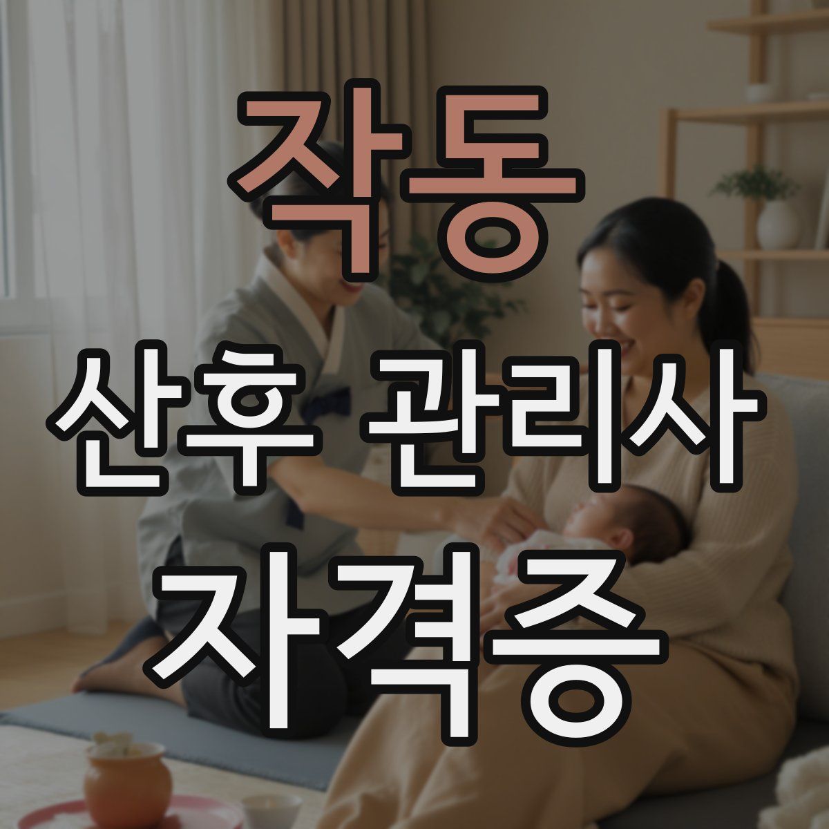 작동 산후 관리사 자격증